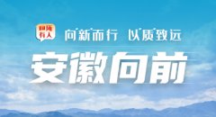 智嘉提出了“货架到人”“托盘到人”“